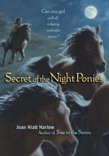 Secret of the Night Ponies