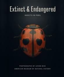 Extinct & Endangered : Insects in Peril