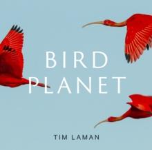 Bird Planet : A Photographic Journey