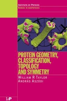 Protein Geometry, Classification, Topology and Symmetry : A Computational Analysis of Structure