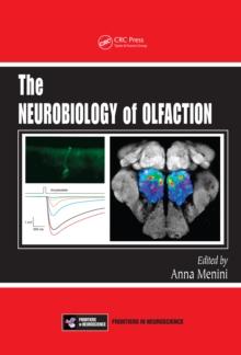 The Neurobiology of Olfaction