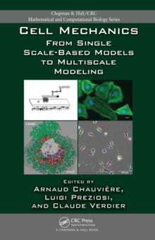 Cell Mechanics : From Single Scale-Based Models to Multiscale Modeling