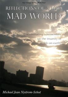 Reflections of a Mad, Mad World : (Incriminating Commentary on the Insanity of Life on Earth)