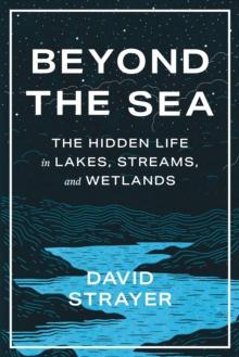 Beyond the Sea : The Hidden Life in Lakes, Streams, and Wetlands