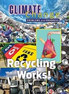 Recycling Works : Problems and Progress