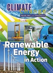 Renewable Energy in Action : Problems and Progress