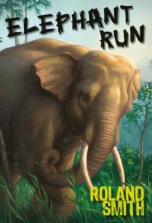 Elephant Run