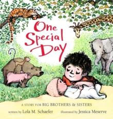 One Special Day : A Story for Big Brothers and Sisters