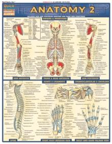 Anatomy 2 - Reference Guide (8.5 x 11) : a QuickStudy Reference Guide