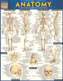 Anatomy - Reference Guide (8.5 x 11) : a QuickStudy reference tool