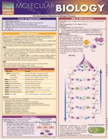 Molecular Biology