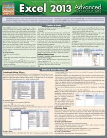 Excel 2013 Advanced