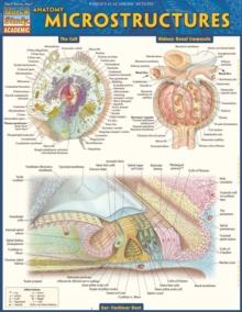 Anatomy Microstructures