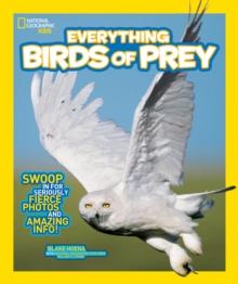 Everything Birds of Prey : Swoop in for Seriously Fierce Photos and Amazing Info