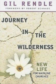 Journey in the Wilderness : New Life for Mainline Churches