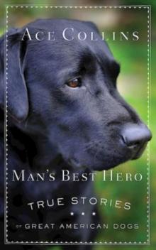 Man's Best Hero : True Stories of Great American Dogs