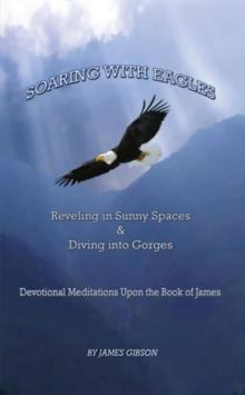 Soaring with Eagles : Reveling in Sunny Spaces and Diving into Gorges Devotional Meditations Upon the Book of James