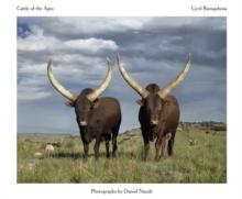 Cattle of the Ages : Ankole cattle in South Africa