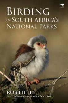 Birding in South Africas national parks