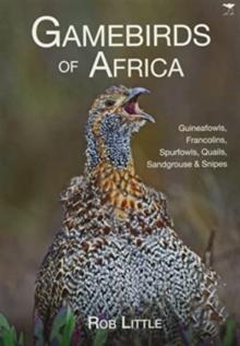 Gamebirds of Africa : Guineafowls, Francolins, Spurfowls, Quails, Sandgrouse & Snipes