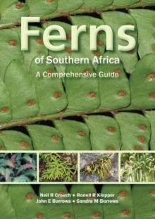 Ferns of Southern Africa: A Comprehensive Guide (PVC) : A Comprehensive Guide