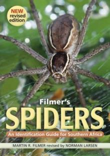 Filmer's Spiders : An Identification Guide for Southern Africa