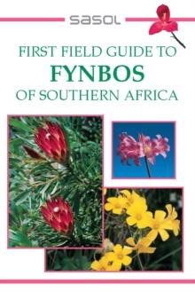 First Field Guide to Fynbos of Southern Africa