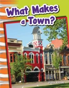 What Makes a Town?