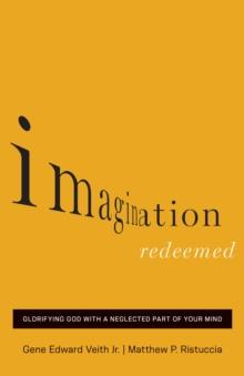 Imagination Redeemed