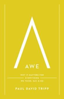 Awe : Why It Matters for Everything We Think, Say, and Do