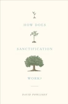 How Does Sanctification Work?