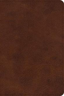 ESV Large Print Bible