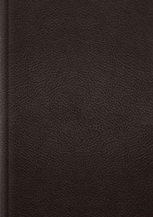 ESV Single Column Journaling Bible, Large Print