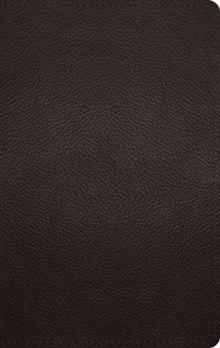 ESV Large Print Personal Size Bible