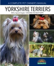 Yorkshire Terriers