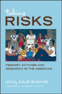 Taking Risks : Feminist Activism and Research in the Americas