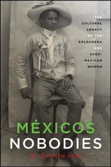 Mexico's Nobodies : The Cultural Legacy of the Soldadera and Afro-Mexican Women