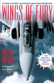 Wings of Fury : From Vietnam to the Gulf War the Astonishing True