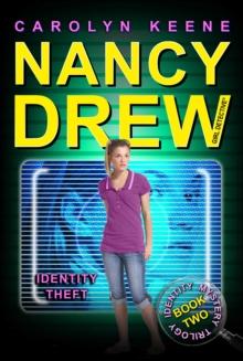 Identity Theft : Book Two in the Identity Mystery Trilogy