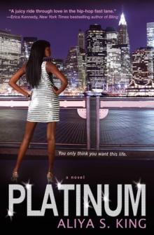 Platinum : A Novel