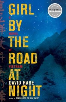 Girl by the Road at Night : A Novel of Vietnam