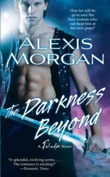 The Darkness Beyond : A Paladin Novel