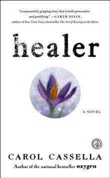 Healer : A Novel