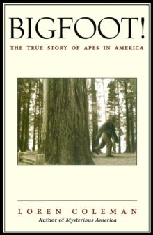 Bigfoot! : The True Story of Apes in America