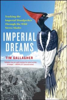 Imperial Dreams : Tracking the Imperial Woodpecker Through the Wild Sierra Madre