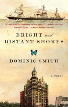 Bright and Distant Shores : A Novel