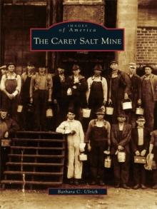 The Carey Salt Mine