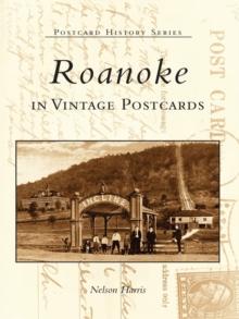 Roanoke in Vintage Postcards