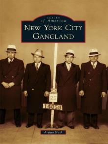 New York City Gangland