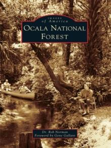 Ocala National Forest